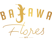 Bajawa