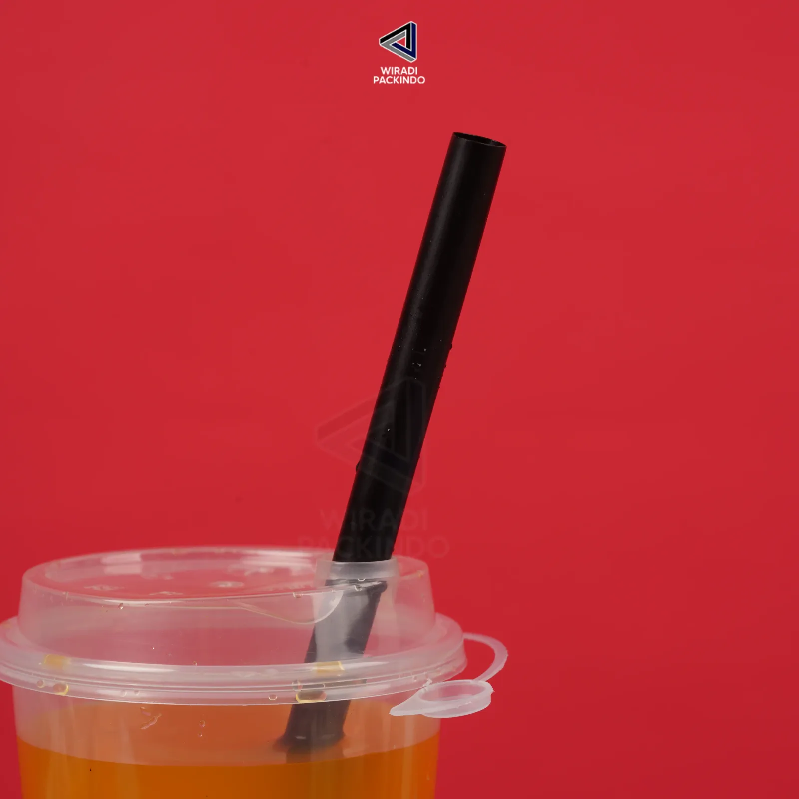 Sedotan Plastik Hitam